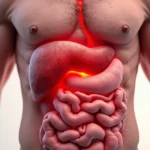 Ilustração realista de cólon humano destacando áreas de sinais de câncer colorretal com ícones representando sangue nas fezes, diarreia, fadiga, perda de peso, tenesmo e dor abdominal